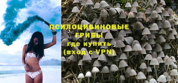 ПСИЛОЦИБИНОВЫЕ ГРИБЫ Лабытнанги