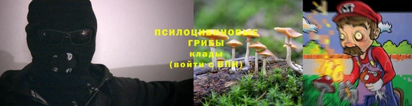mdpv Липки