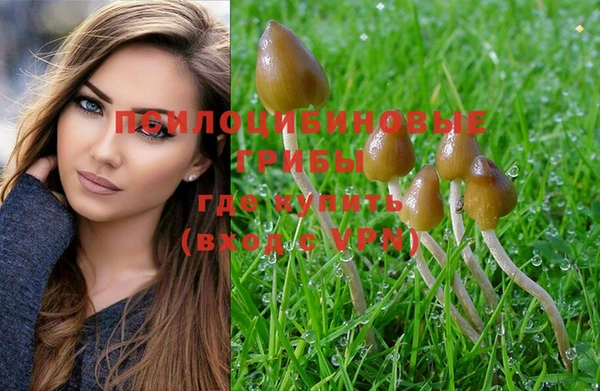 молекула духа Лихославль
