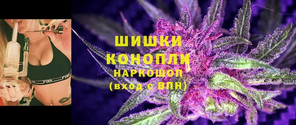 молекула духа Лихославль