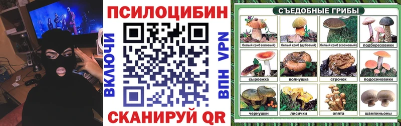 где продают   Называевск  Галлюциногенные грибы GOLDEN TEACHER 